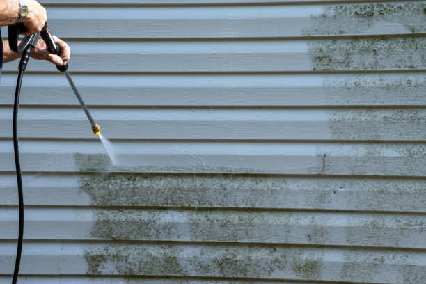 Best Carpet Removal and Disposal  in Marshall, MI