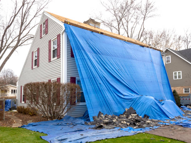 Best Shed Removal  in Marshall, MI